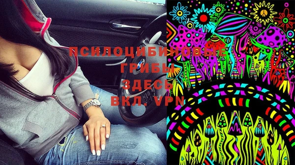 ПСИЛОЦИБИНОВЫЕ ГРИБЫ Наволоки