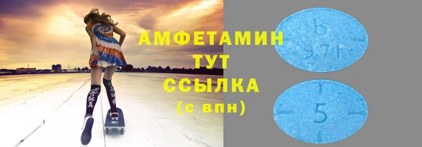 дживик Надым