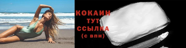 твердый Новозыбков